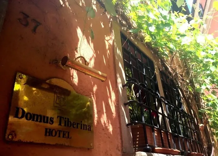 Domus Tiberina 2*